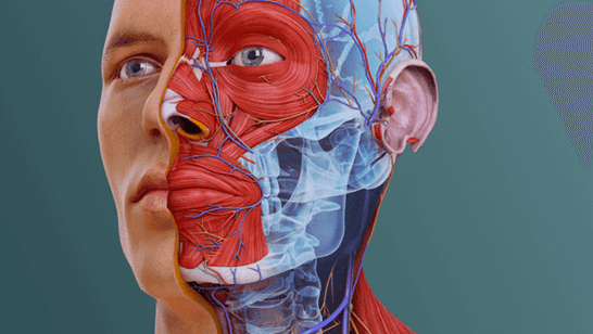 3D Medical Animation