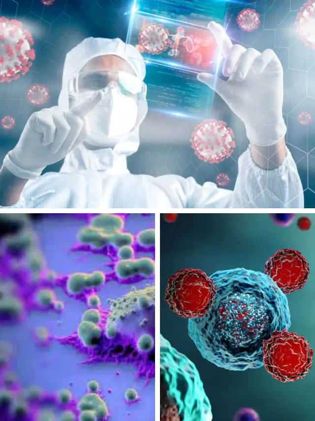 Top 10 3D Medical Animation Companies in the USA for 2025